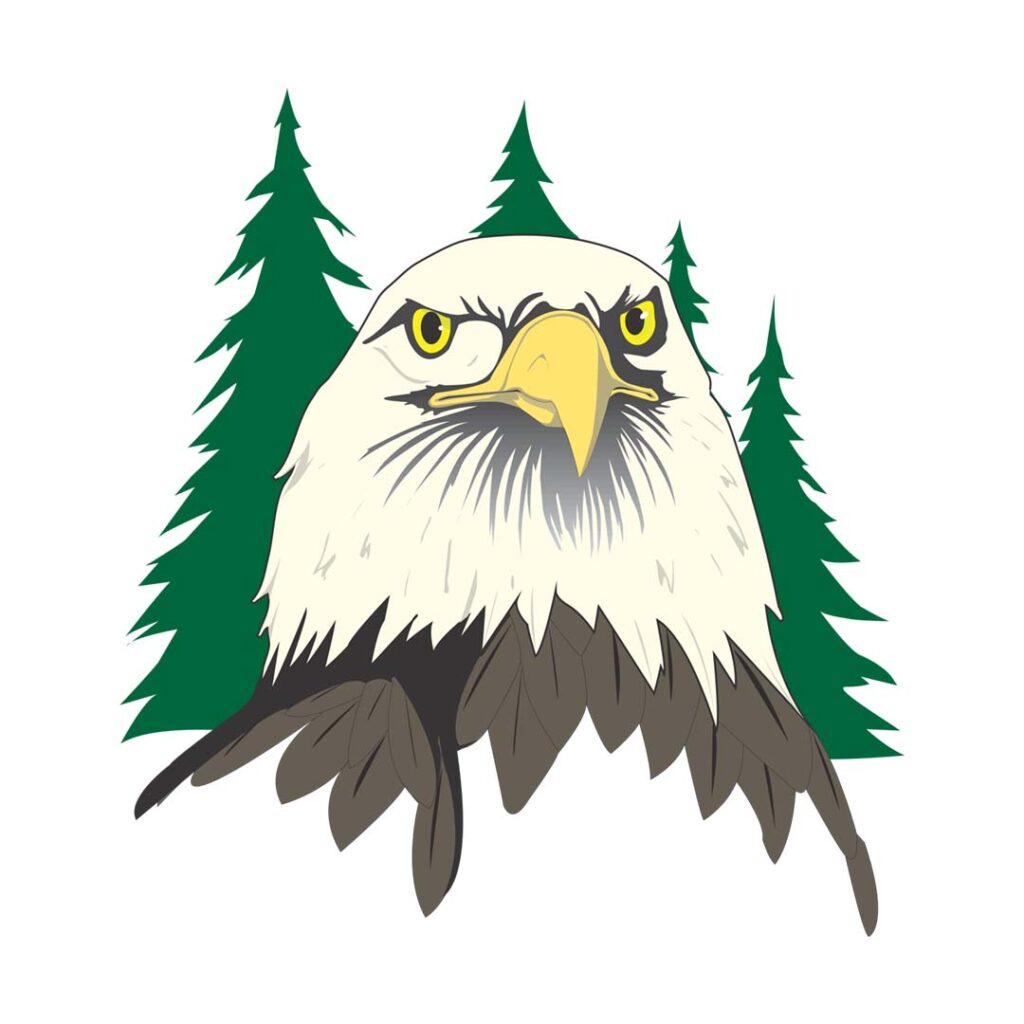 Free bird PNG image with a transparent background.