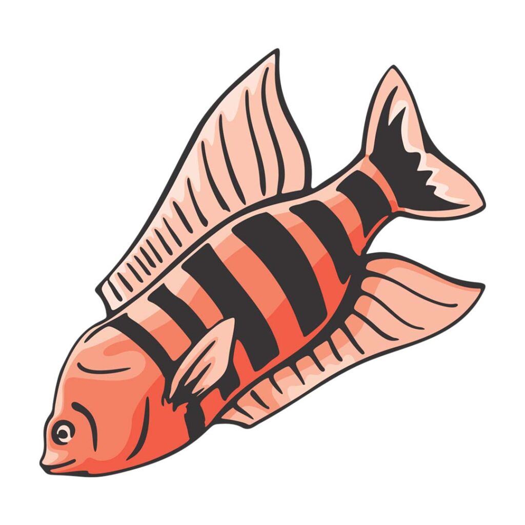 Free fish PNG image with a transparent background.