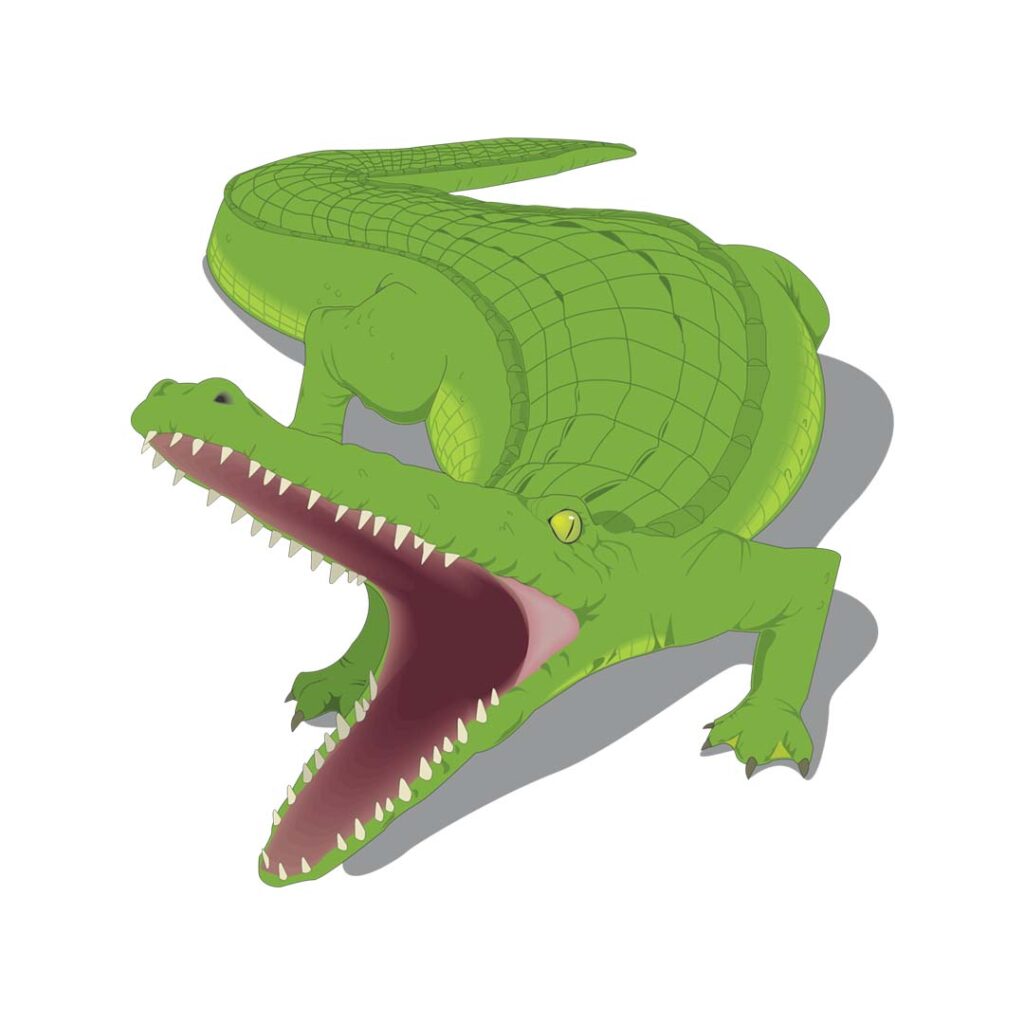 Free reptile PNG image with a transparent background.