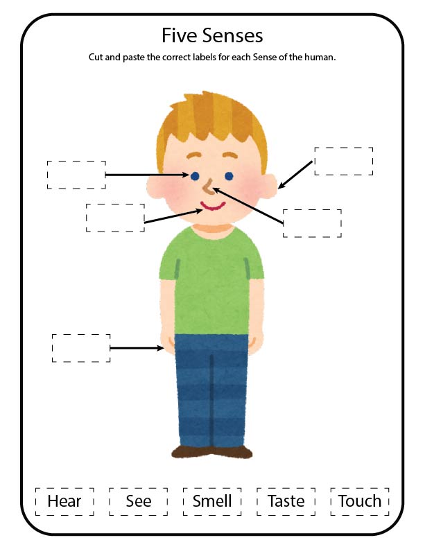Free science activity sheet for kids