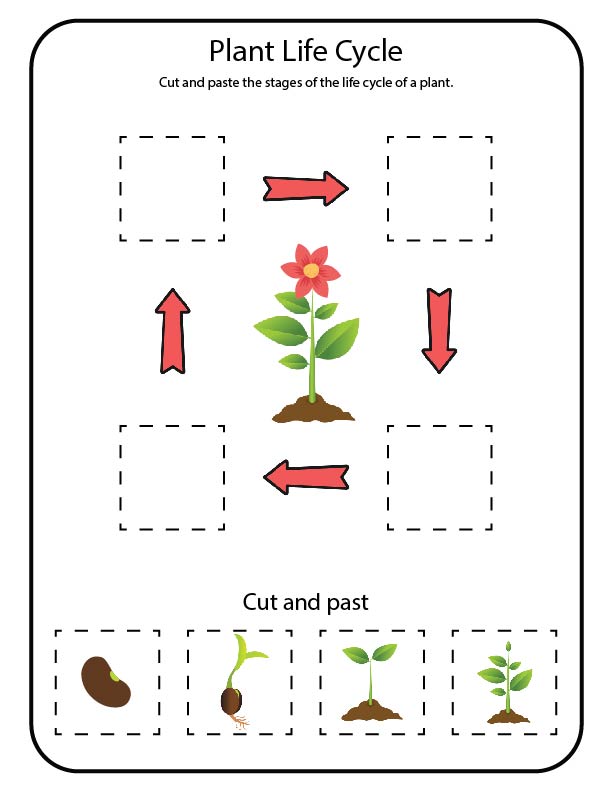 Free science activity sheet for kids